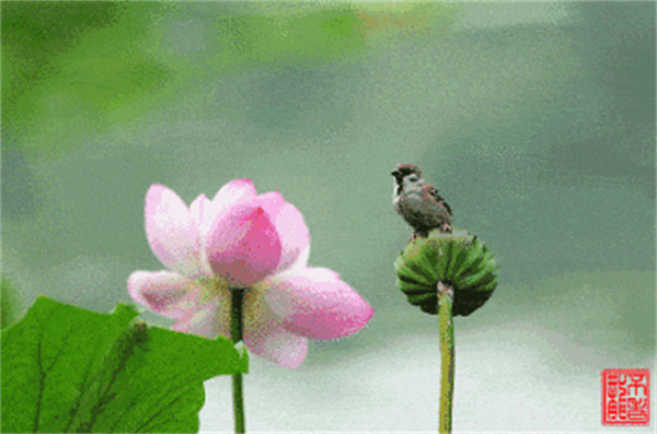 wx_fmt=gif&from=appmsg&wxfrom=5&wx_lazy=1&randomid=36nu3qn8&tp=webp.jpg